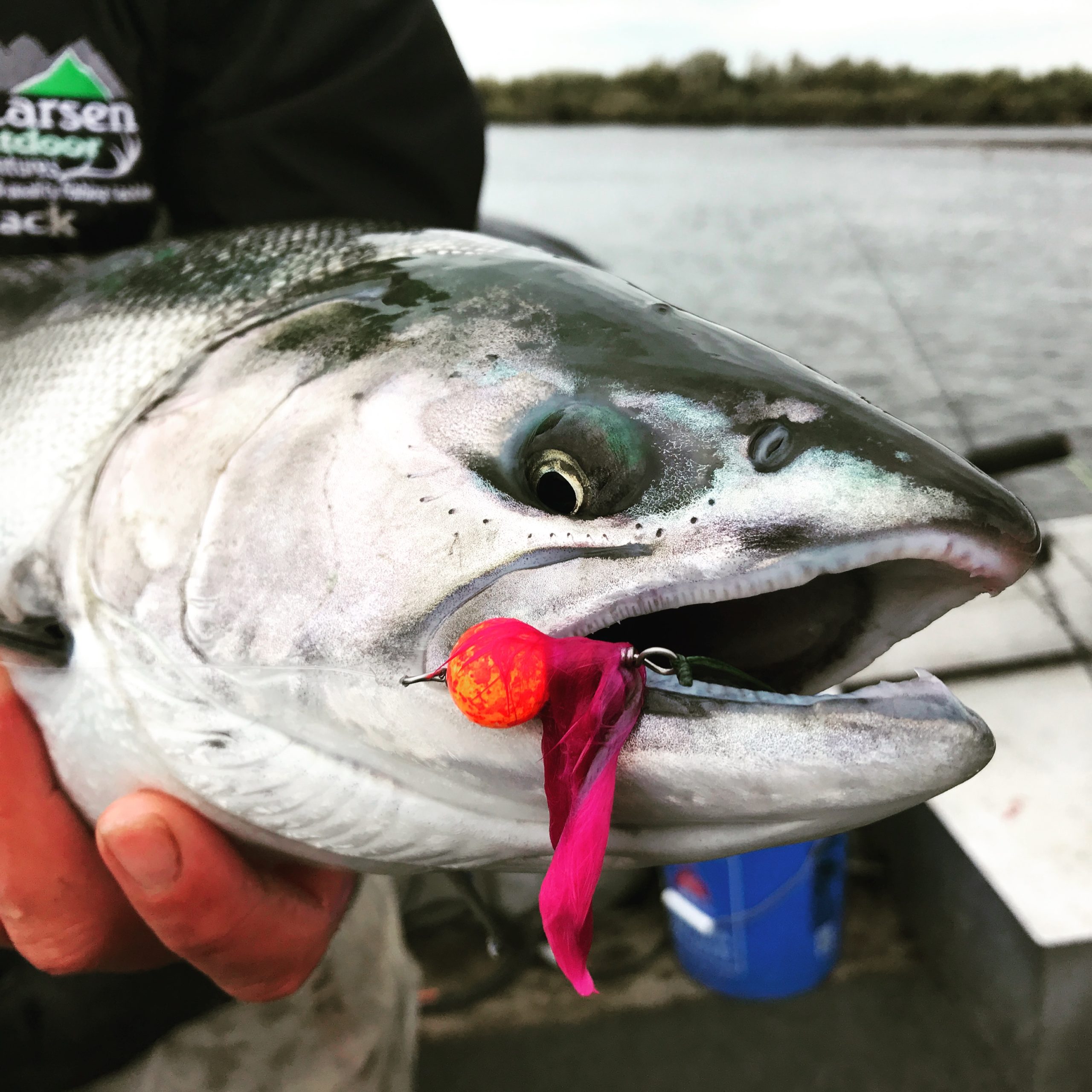 Alaska Silver Salmon Fishing