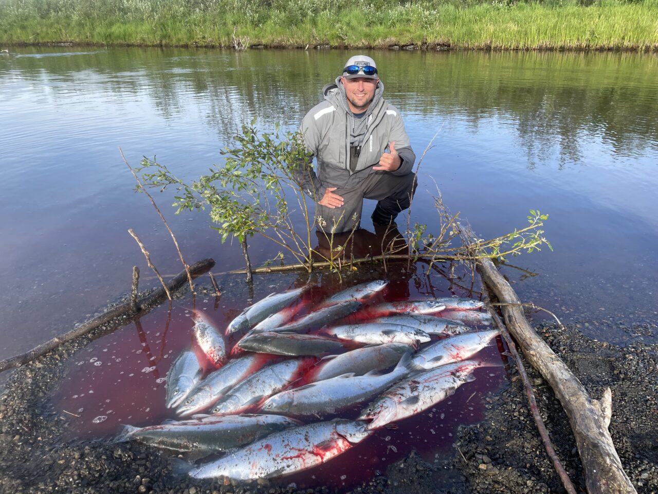 Alaskan Sockeye (Red) Salmon Togiak River Lodge