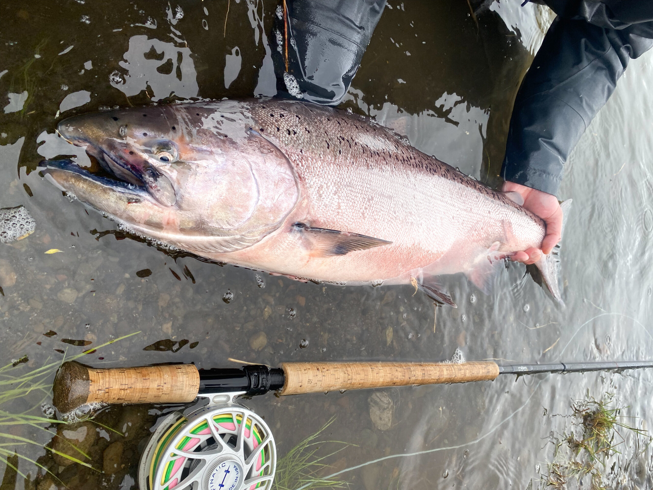 Alaska King Salmon Fishing, On the Fly